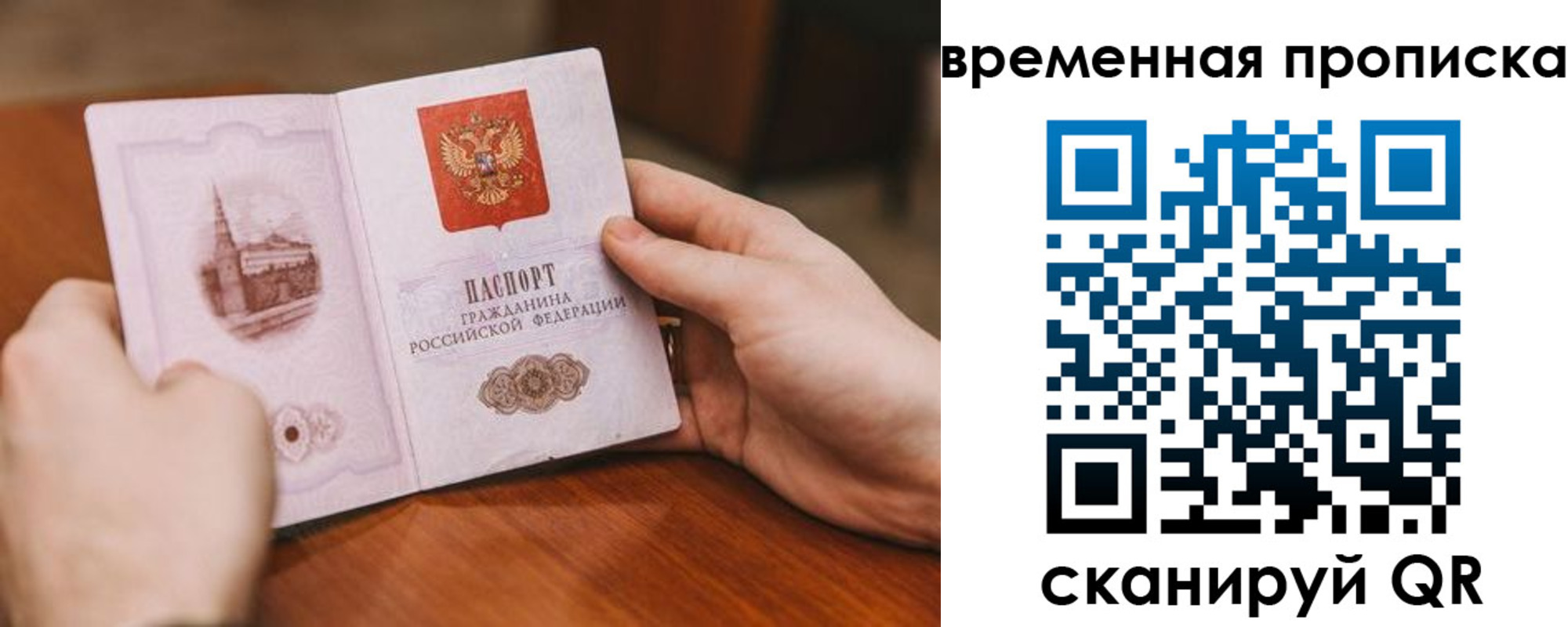 прописка законно в Сельцо